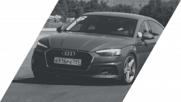 Летний курс «Спортивный»