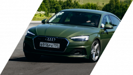 Летний курс «Спортивный»